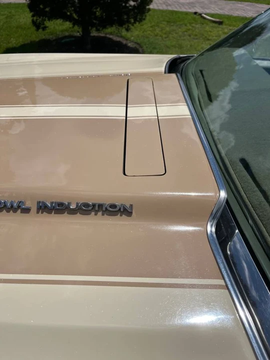 1966 Chevrolet Corvette C2 - Image 23 of 24