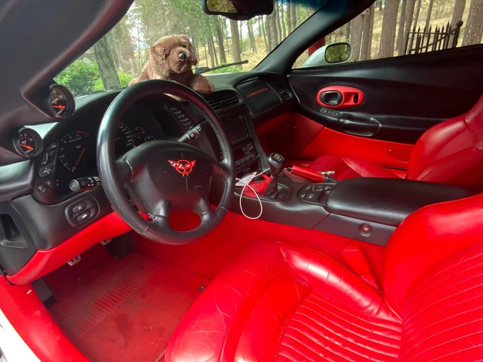 2004 Chevrolet Corvette C5 - Image 12 of 16