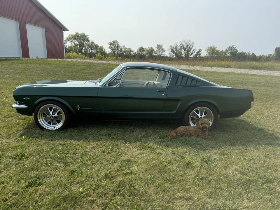 1966 Ford Mustang 1st Gen (1964.5-1966) - Image 19 of 31