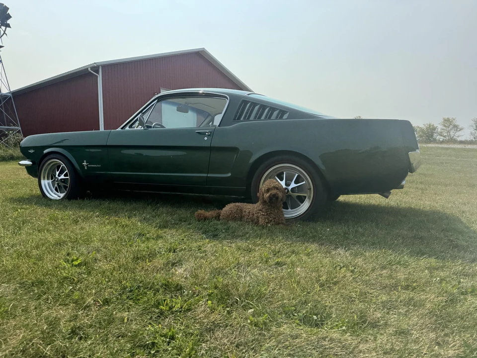 1966 Ford Mustang 1st Gen (1964.5-1966) - Image 18 of 31