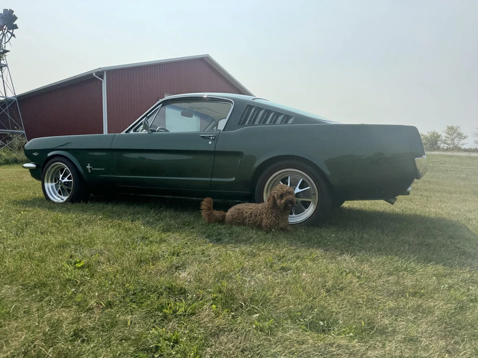 1966 Ford Mustang 1st Gen (1964.5-1966) - Image 17 of 31