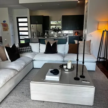 Crate & Barrel Lotus Couch