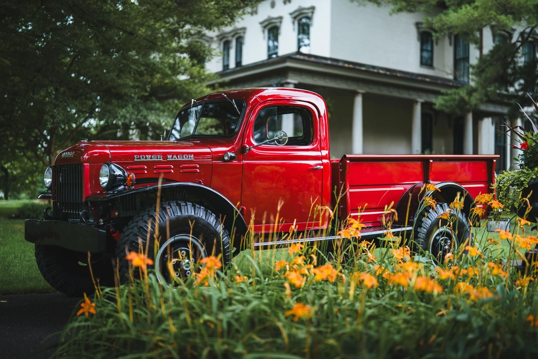 1956 Dodge Power Wagon (1946-1968) - Image 8 of 31
