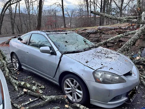 2006 Acura RSX Type S