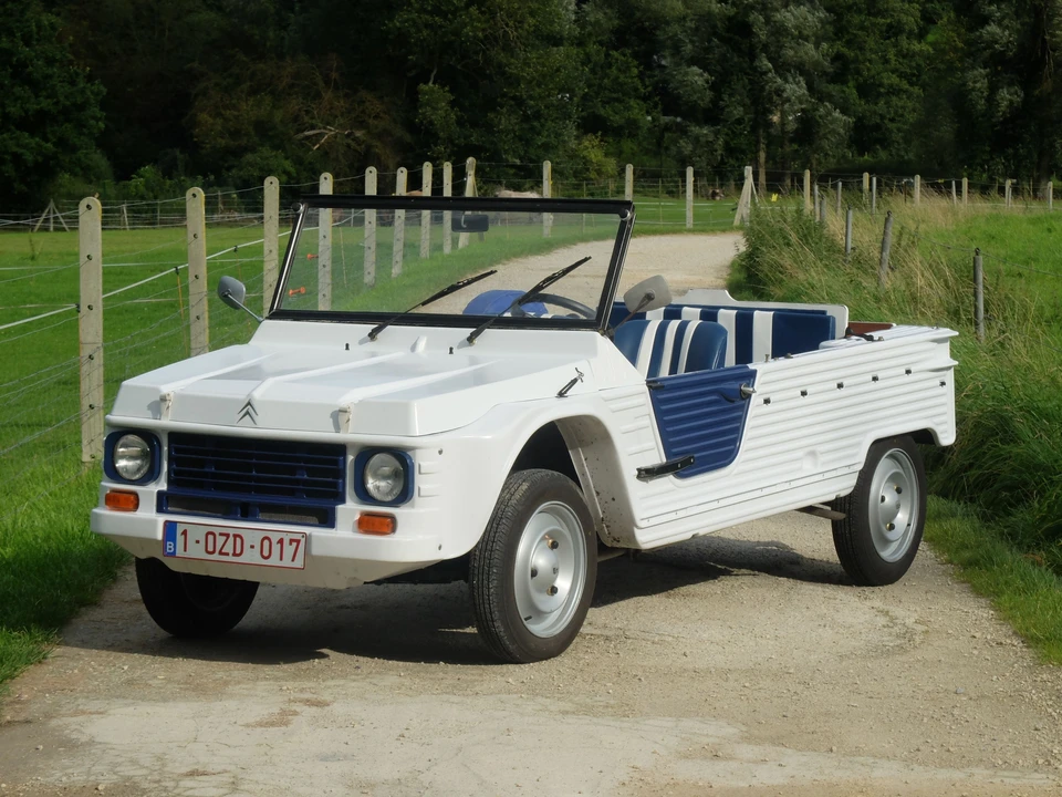 1979 Citroen Mehari - Image 2 of 11