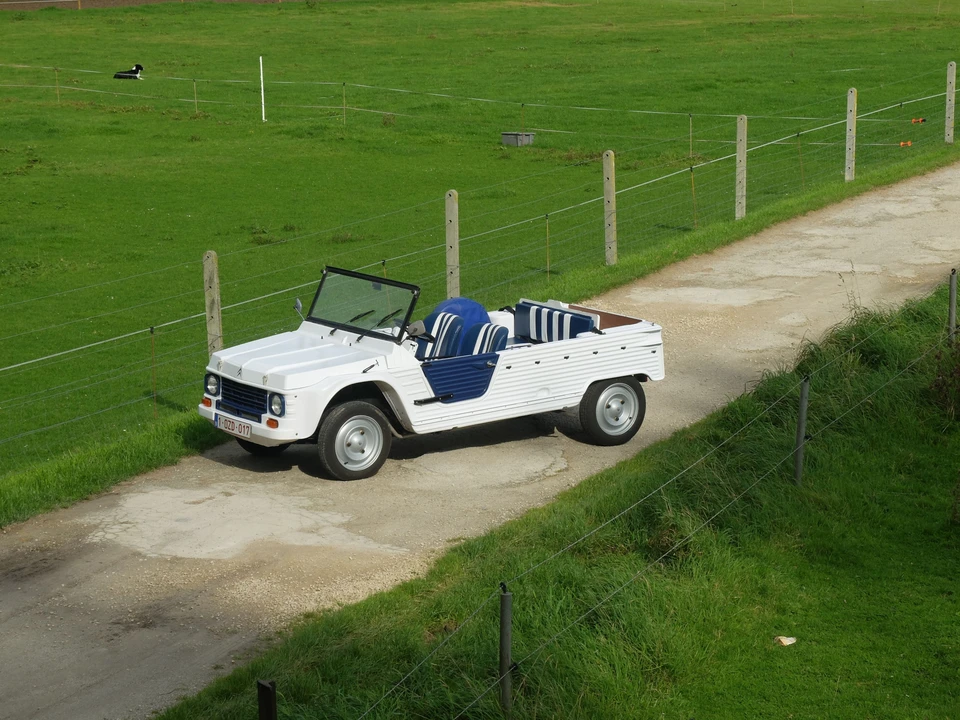 1979 Citroen Mehari - Image 3 of 11