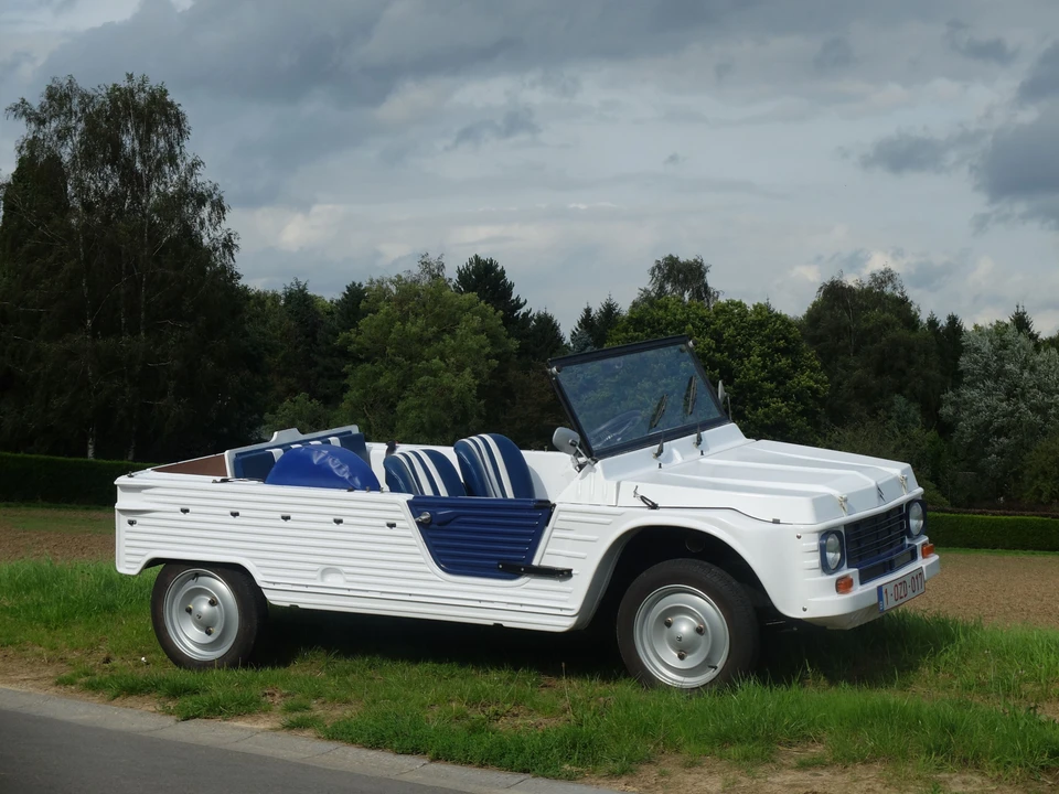 1979 Citroen Mehari - Image 6 of 11