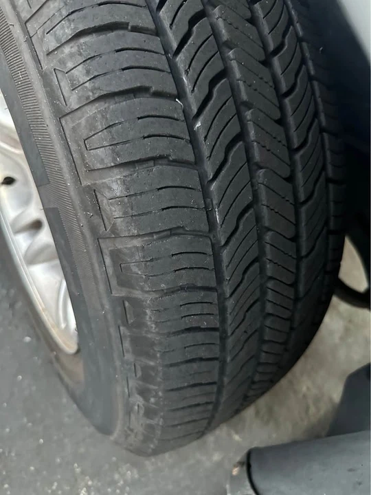 Dodge Dakota - Image 5 of 11