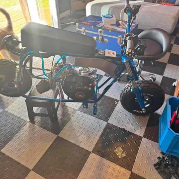 Doodle Bug Mini Bike