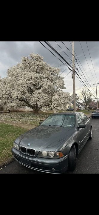 2002 BMW E39 540i - Image 5 of 6