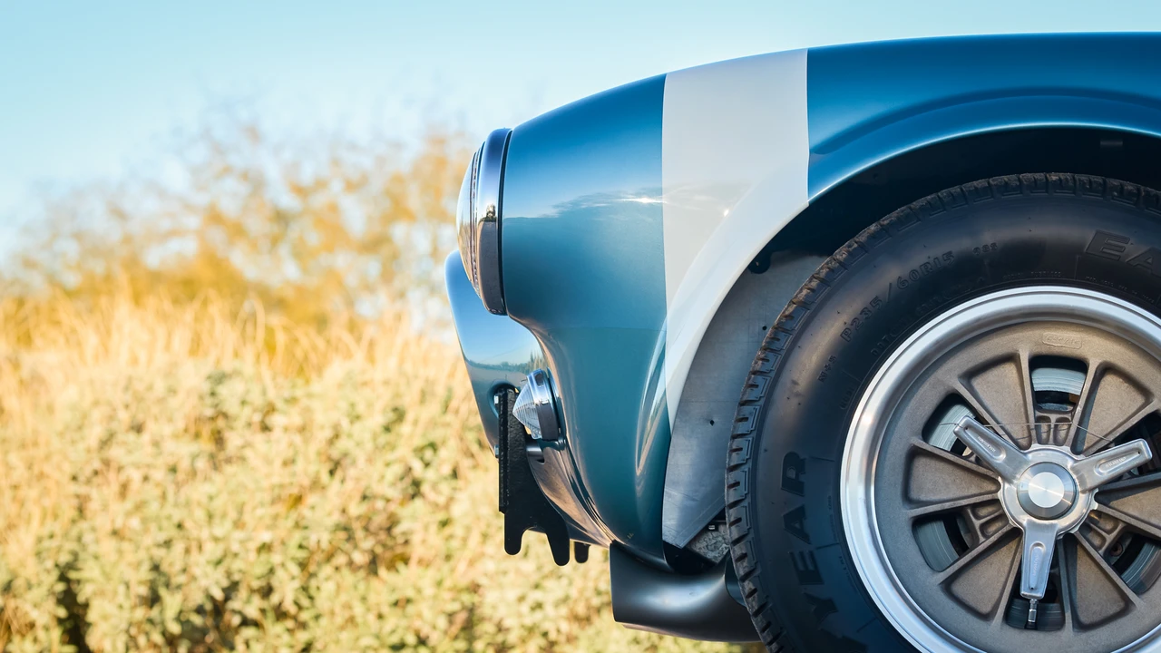 Shelby Cobra Replica - Image 19 of 31