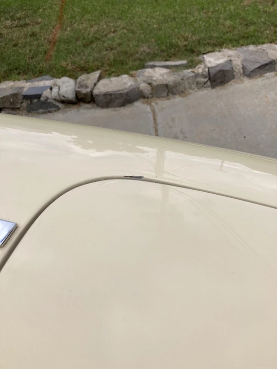 1967 Alfa Romeo Series 1 - Image 31 of 31
