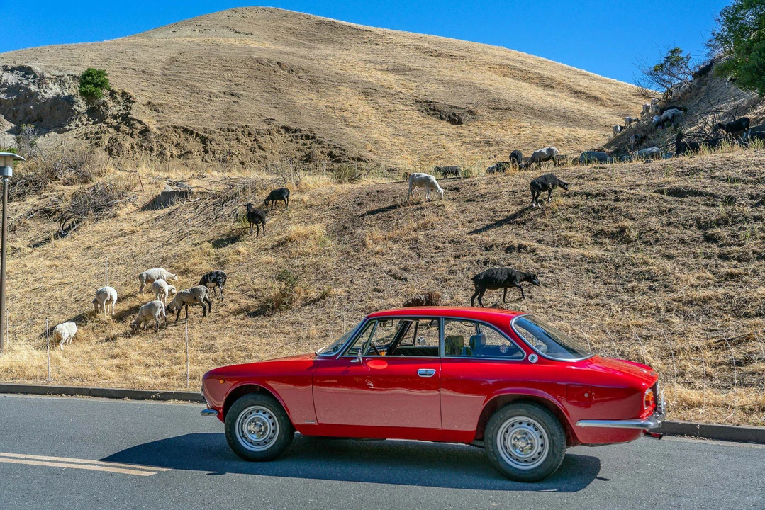 1975 Alfa Romeo GT 1300 Junior - Image 6 of 31