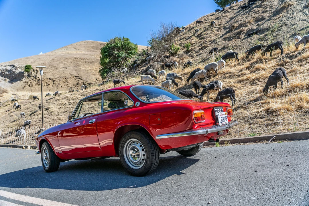 1975 Alfa Romeo GT 1300 Junior - Image 7 of 31