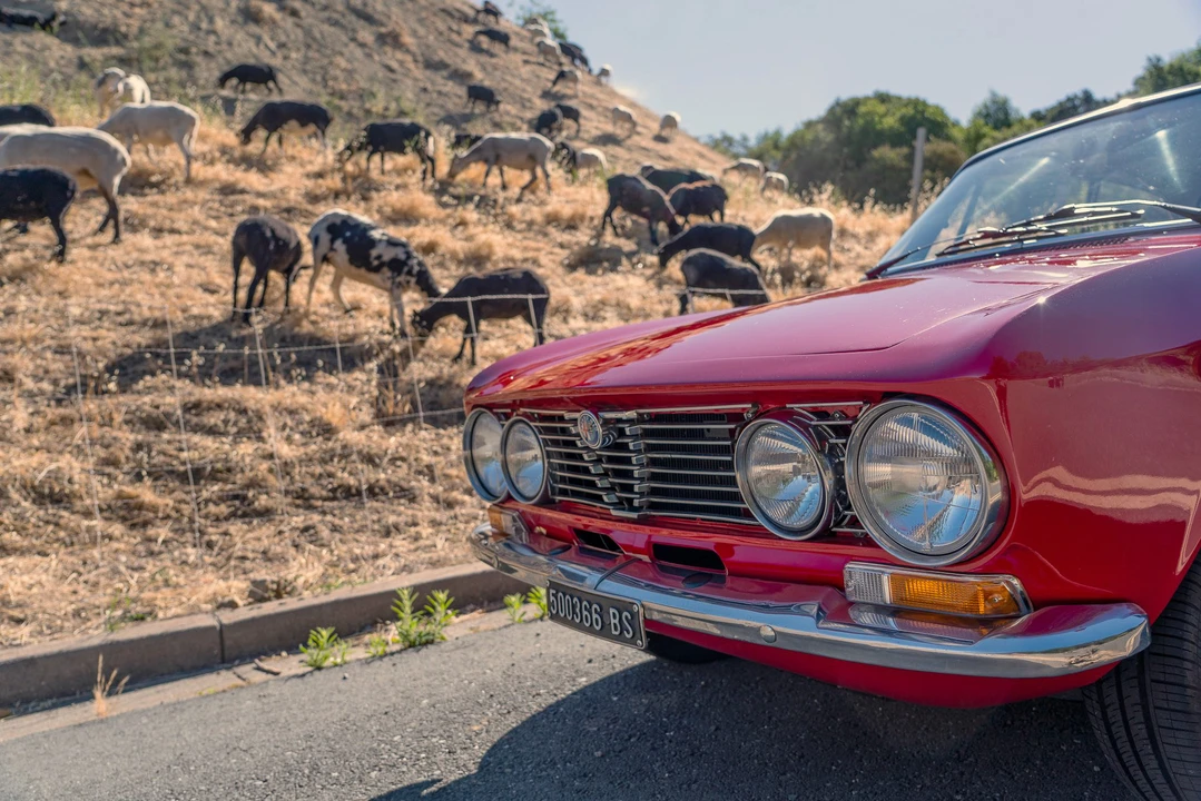 1975 Alfa Romeo GT 1300 Junior - Image 26 of 31