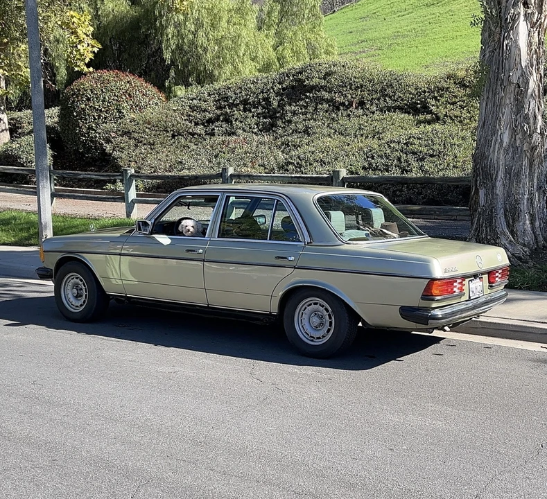 1982 Mercedes-Benz W123 Sedan - Image 9 of 31