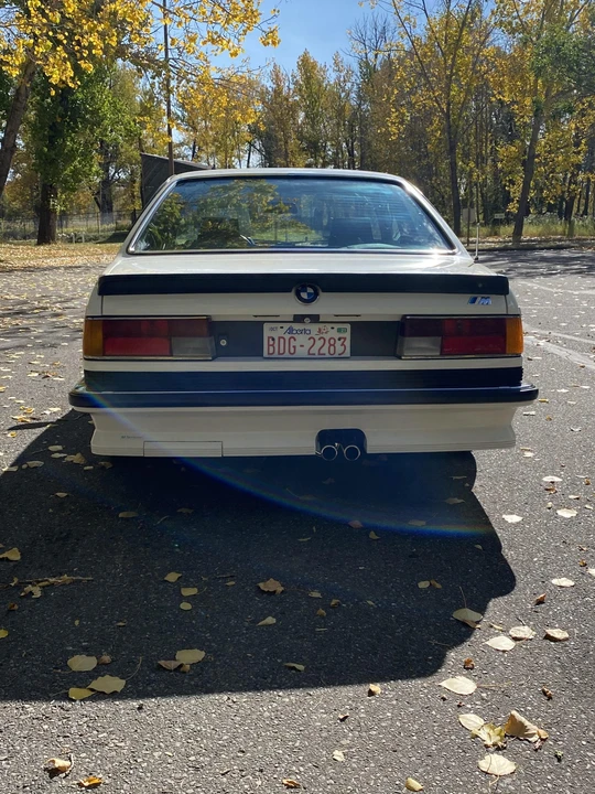 1985 BMW E24 M635CSi & M6 - Image 9 of 31