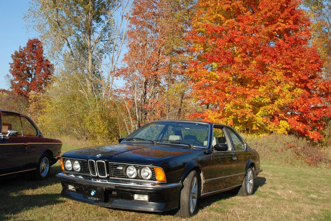 1985 BMW E24 M635CSi & M6 - Image 19 of 31