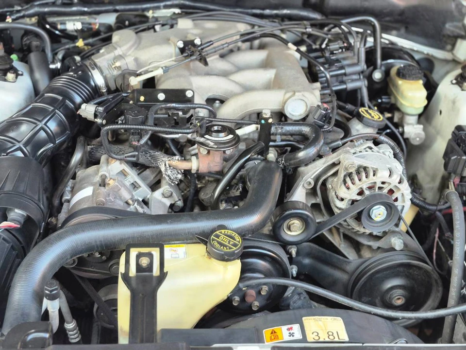 2003 Ford SN95 Mustang - Image 13 of 15