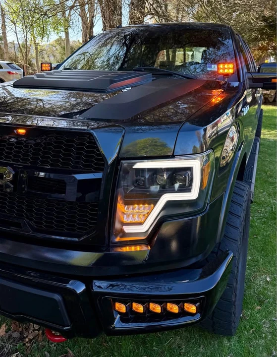 2009 Ford F-150 12th Gen - Image 3 of 10