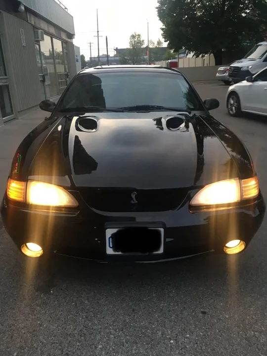 1997 Ford SN95 Mustang Cobra - Image 6 of 9