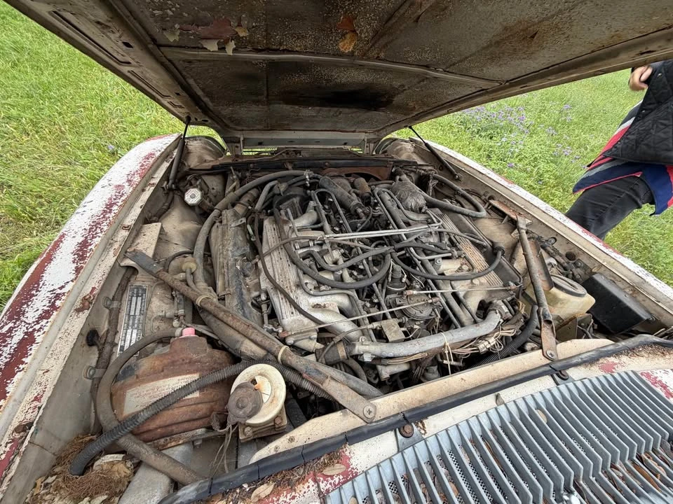 1977 Jaguar XJS Pre-Facelift V12 - Image 6 of 10