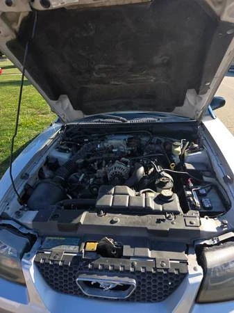 2004 Ford SN95 Mustang - Image 13 of 19
