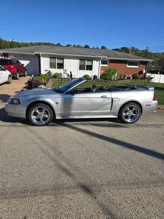 2004 Ford SN95 Mustang - Image 10 of 19