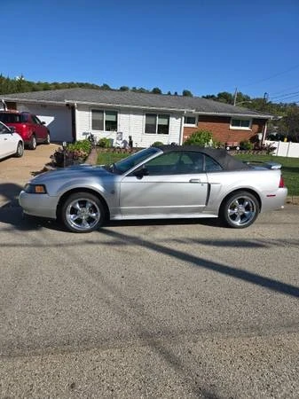 2004 Ford SN95 Mustang - Image 2 of 19