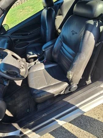 2004 Ford SN95 Mustang - Image 8 of 19