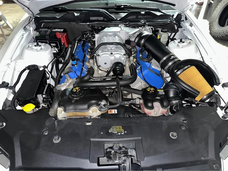 2014 Shelby - Image 4 of 11