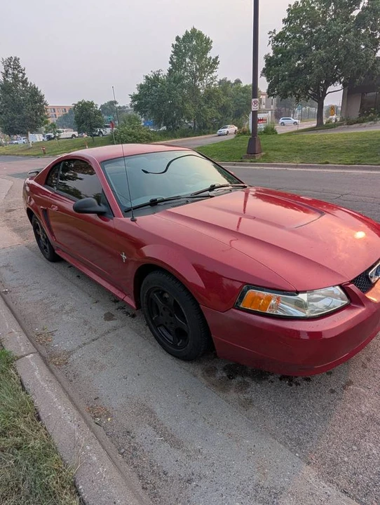 2003 Ford SN95 Mustang - Image 4 of 23