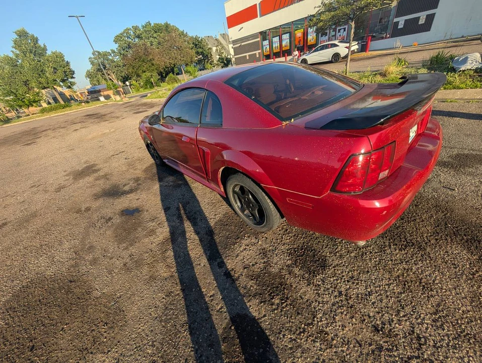2003 Ford SN95 Mustang - Image 6 of 23