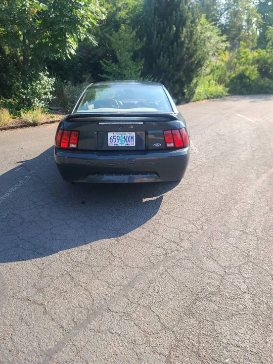 1999 Ford SN95 Mustang - Image 14 of 14