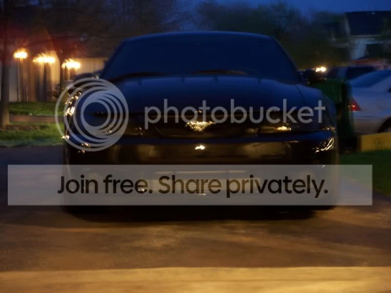 Ford SN95 Mustang Cobra - Image 4 of 5