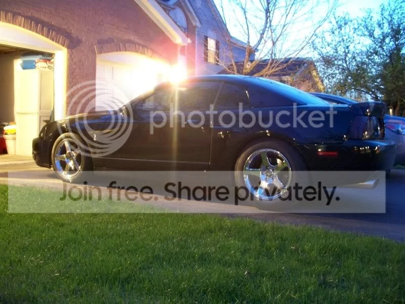 Ford SN95 Mustang Cobra - Image 5 of 5