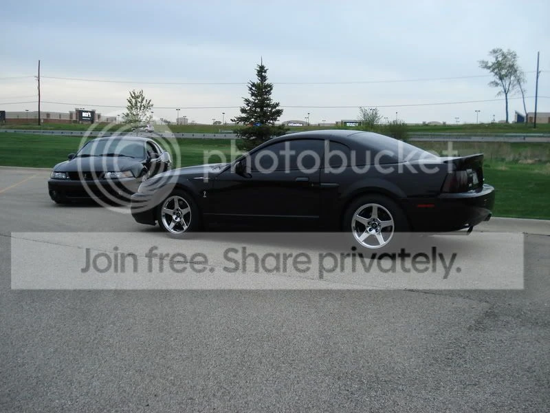 Ford SN95 Mustang Cobra - Image 3 of 5