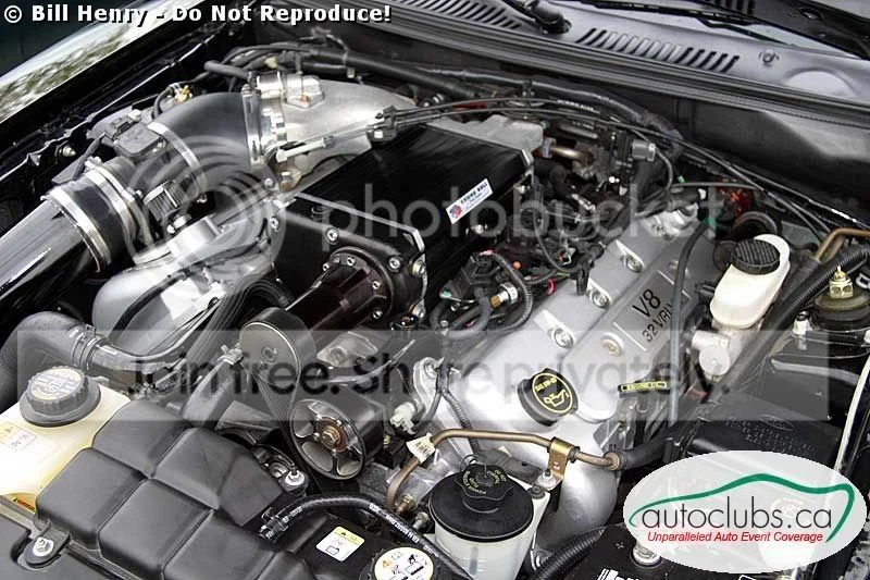 Ford SN95 Mustang Cobra - Image 2 of 5