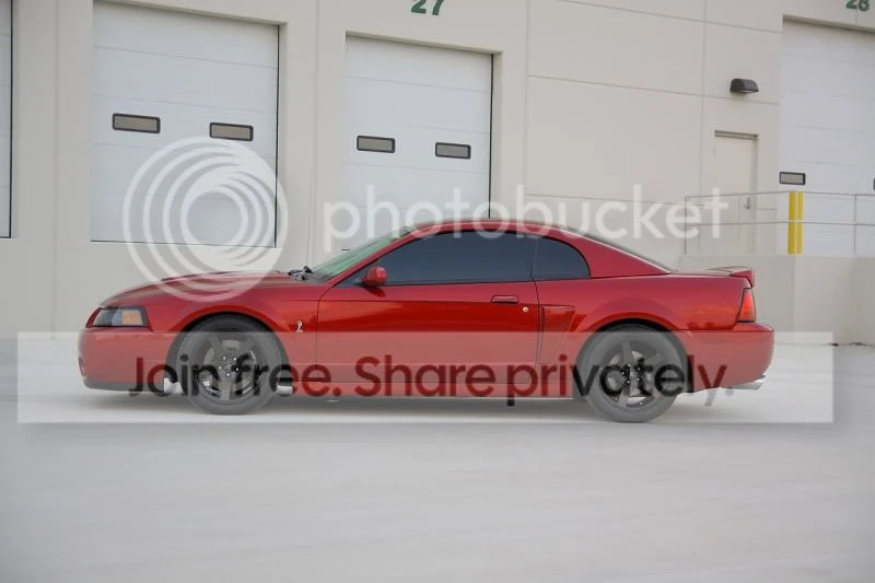 Ford SN95 Mustang Cobra - Image 7 of 11