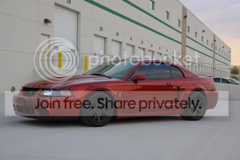 Ford SN95 Mustang Cobra - Image 4 of 11
