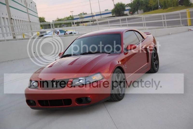 Ford SN95 Mustang Cobra - Image 3 of 11