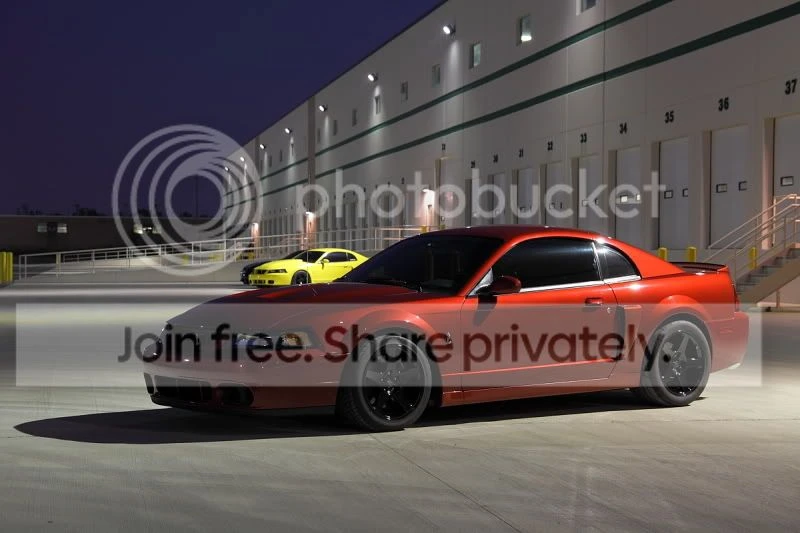 Ford SN95 Mustang Cobra - Image 2 of 11