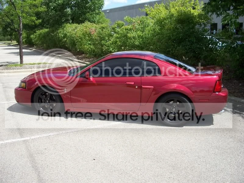 Ford SN95 Mustang Cobra - Image 8 of 11