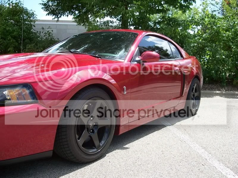 Ford SN95 Mustang Cobra - Image 9 of 11