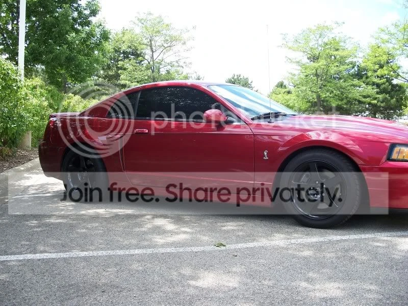 Ford SN95 Mustang Cobra - Image 10 of 11