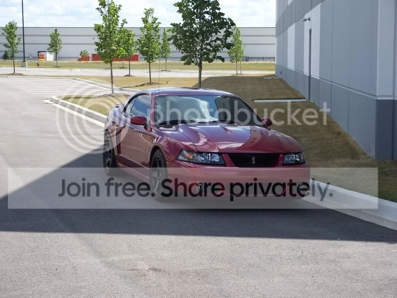 Ford SN95 Mustang Cobra - Image 11 of 11