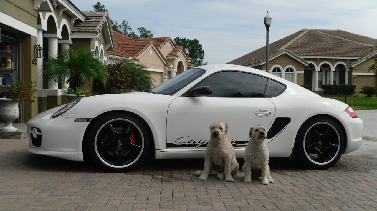 2008 Porsche 987 Cayman S - Image 8 of 9