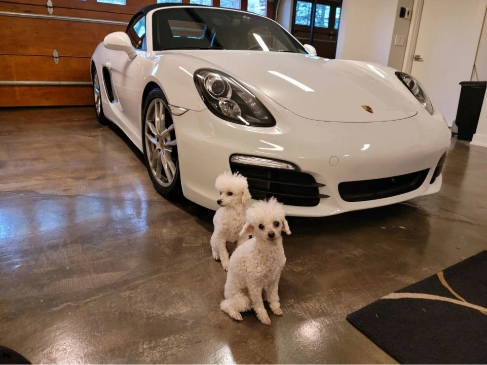 2014 Porsche 981 Boxster S - Image 6 of 11