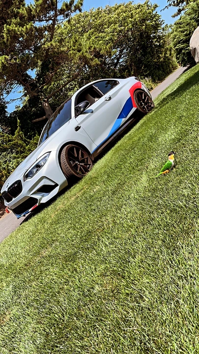2021 BMW F87 M2 - Image 16 of 20