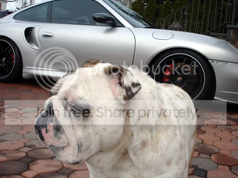 Porsche 996 Turbo - Image 20 of 20